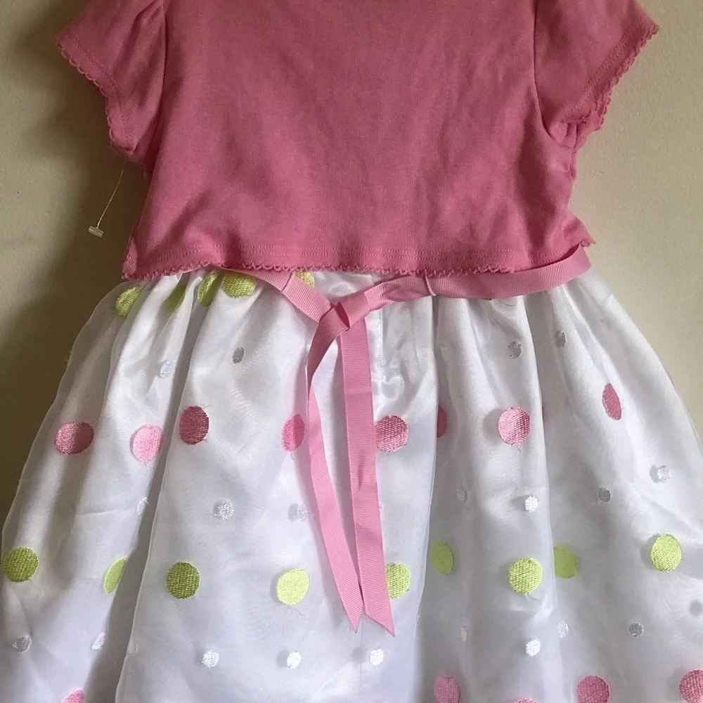 New Sweet Heart Rose Toddler Dress 2T